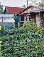 Требования земельного законодательства Российской Федерации в части предоставления земельных участков  для ведения садоводства и дачного строительства